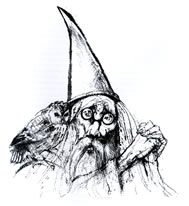 Illustration from The Book of Merlin 1978